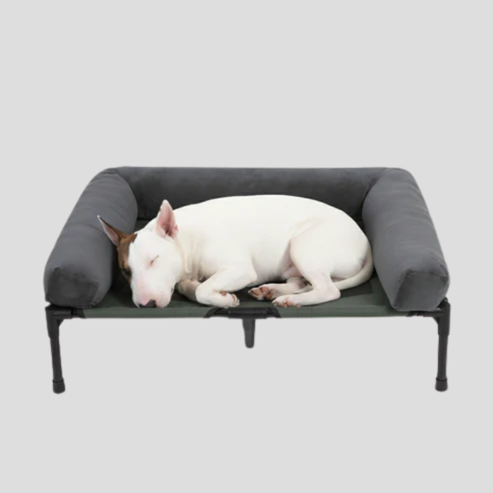 Bolster Bed for Large Dogs Spacious Raised Design