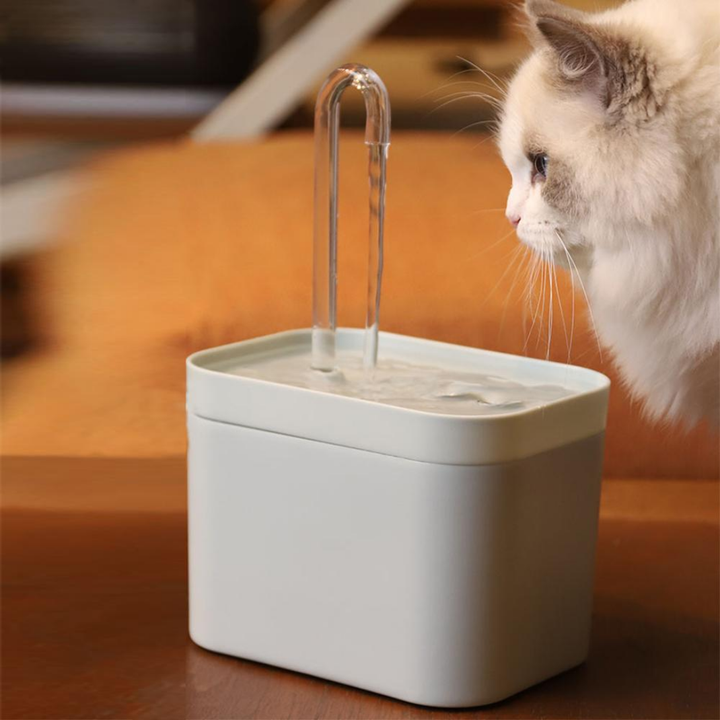 Elevated Cat Feeding Bowl – Ergonomic Raised Food Bowl for Cats