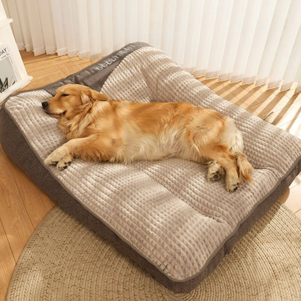 Orthopaedic Scratch-Resistant Dog Cushion Bed with Spine Support