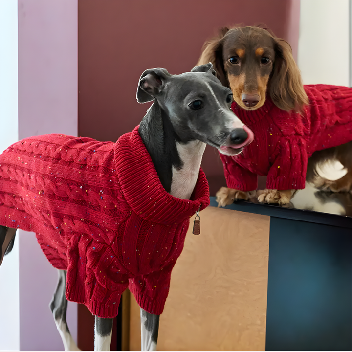 Cable Knit Zipper Collar Dachshund Dog Jumper