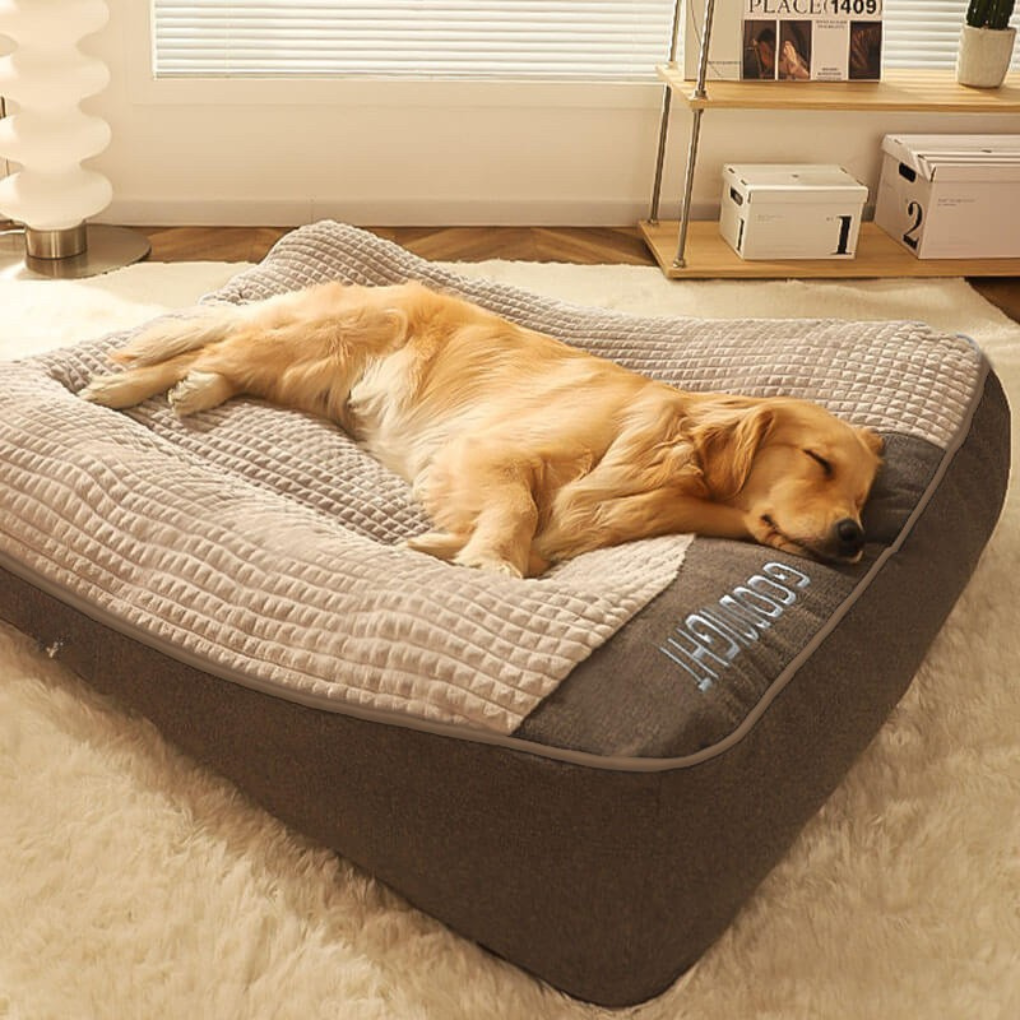 Orthopaedic Scratch-Resistant Dog Cushion Bed with Spine Support
