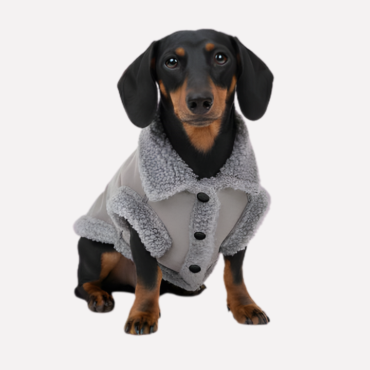 Soft Shearling Dog Jacket