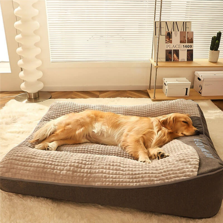 Orthopaedic Scratch-Resistant Dog Cushion Bed with Spine Support