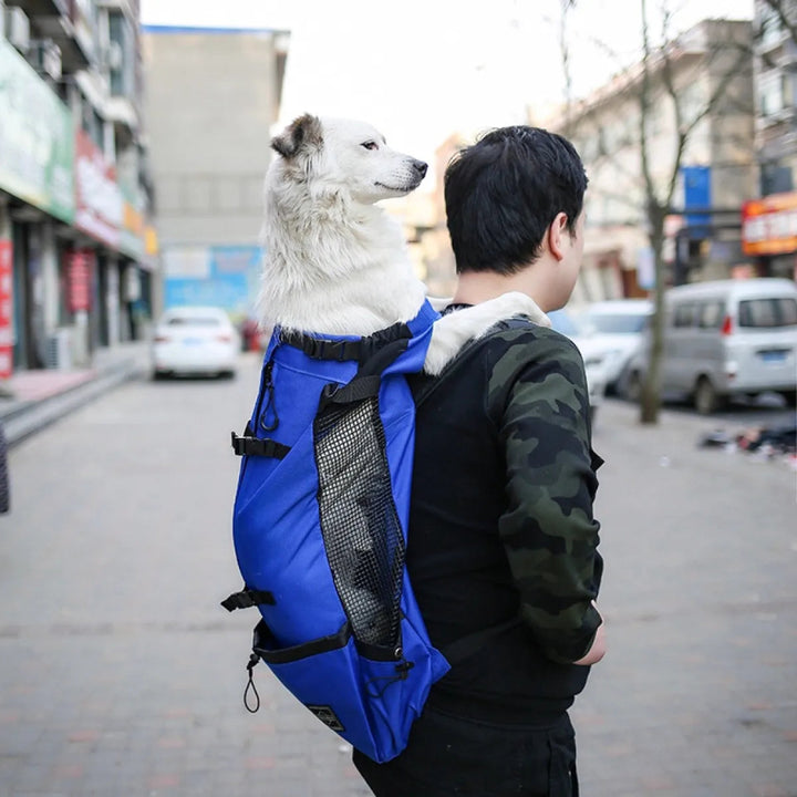 Breathable Pet Backpack Carrier