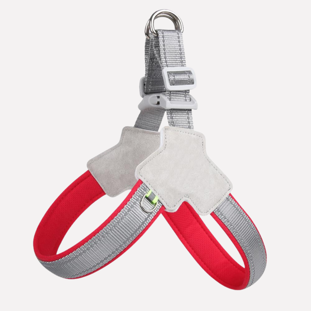 Dog Harness – No-Pull Design for Walking and Travel