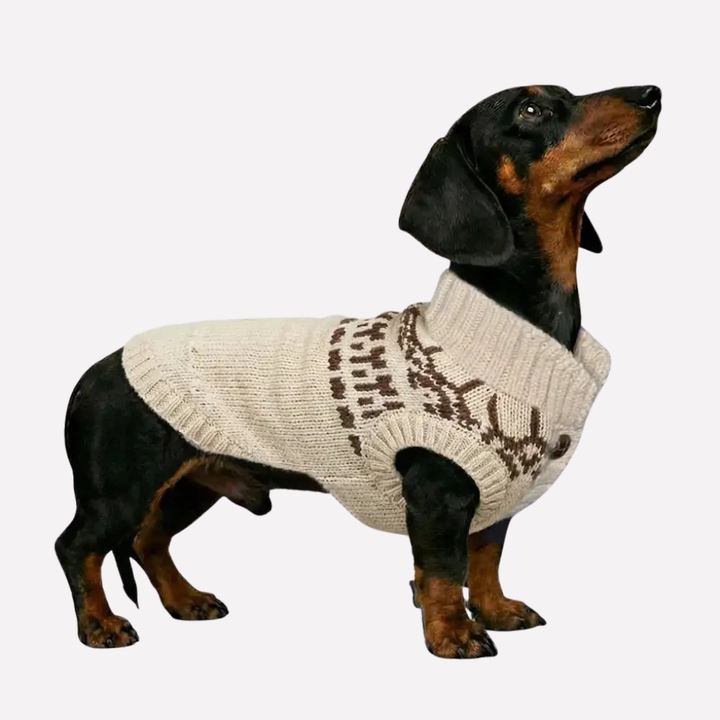 Fair Isle Pattern Dachshund Sleeveless Dog Jumper