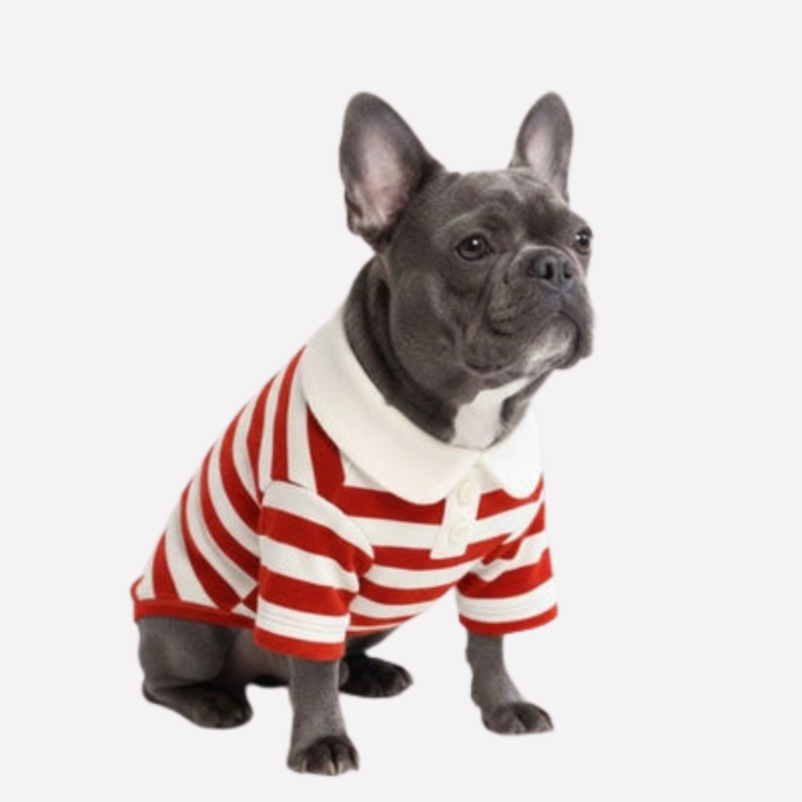 Classic Striped Polo Dog Shirt