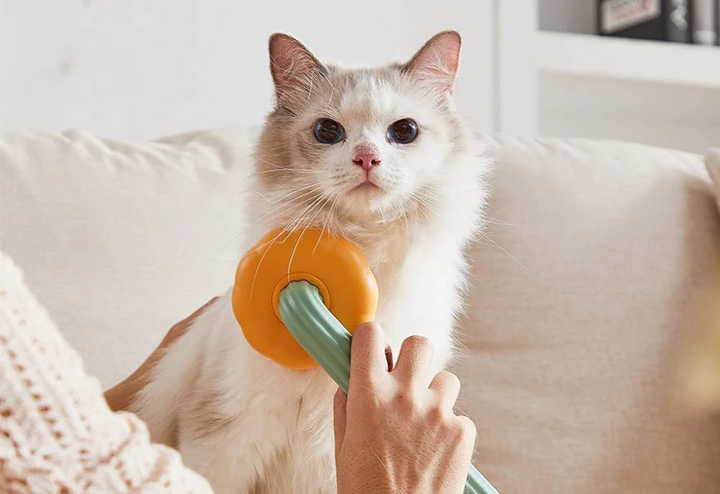 Pumpkin Comb Type Brush
