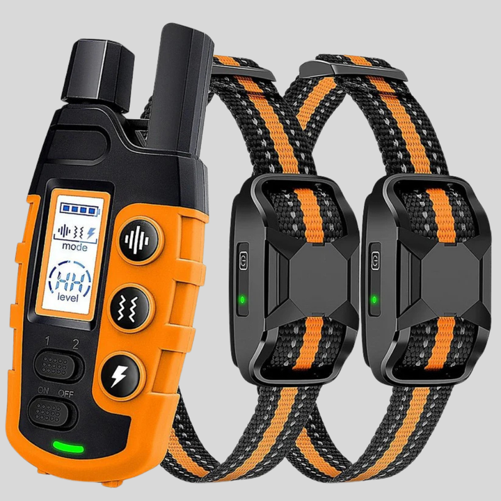 Long-Range Dog Training Collar