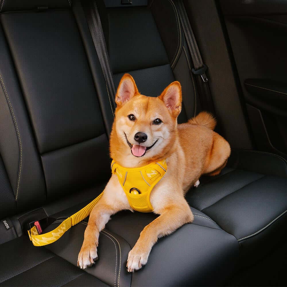 Buffer Adjustable Dog Car Seat Belt