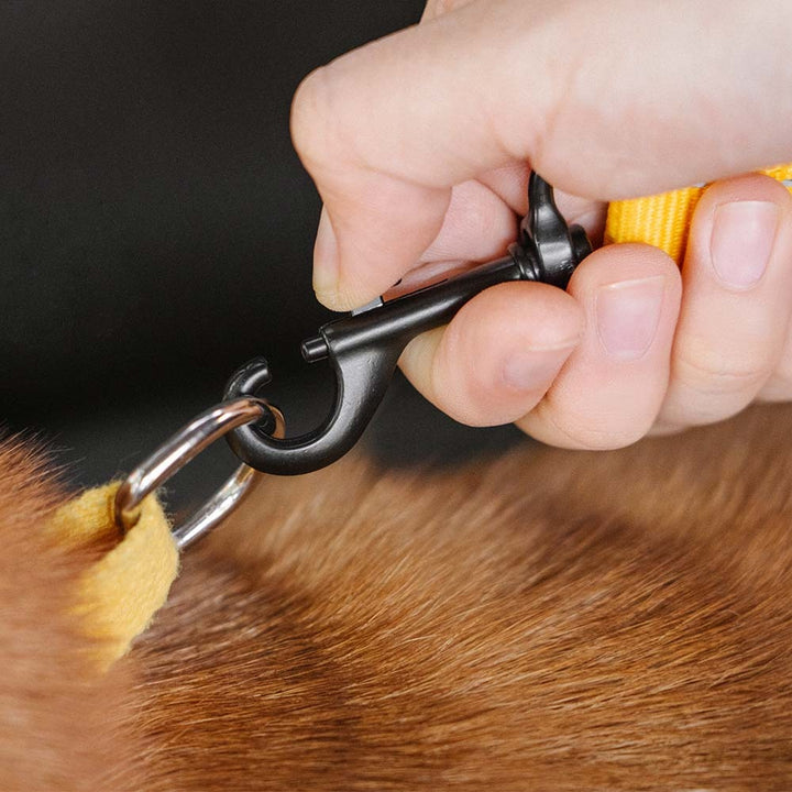 Buffer Adjustable Dog Car Seat Belt