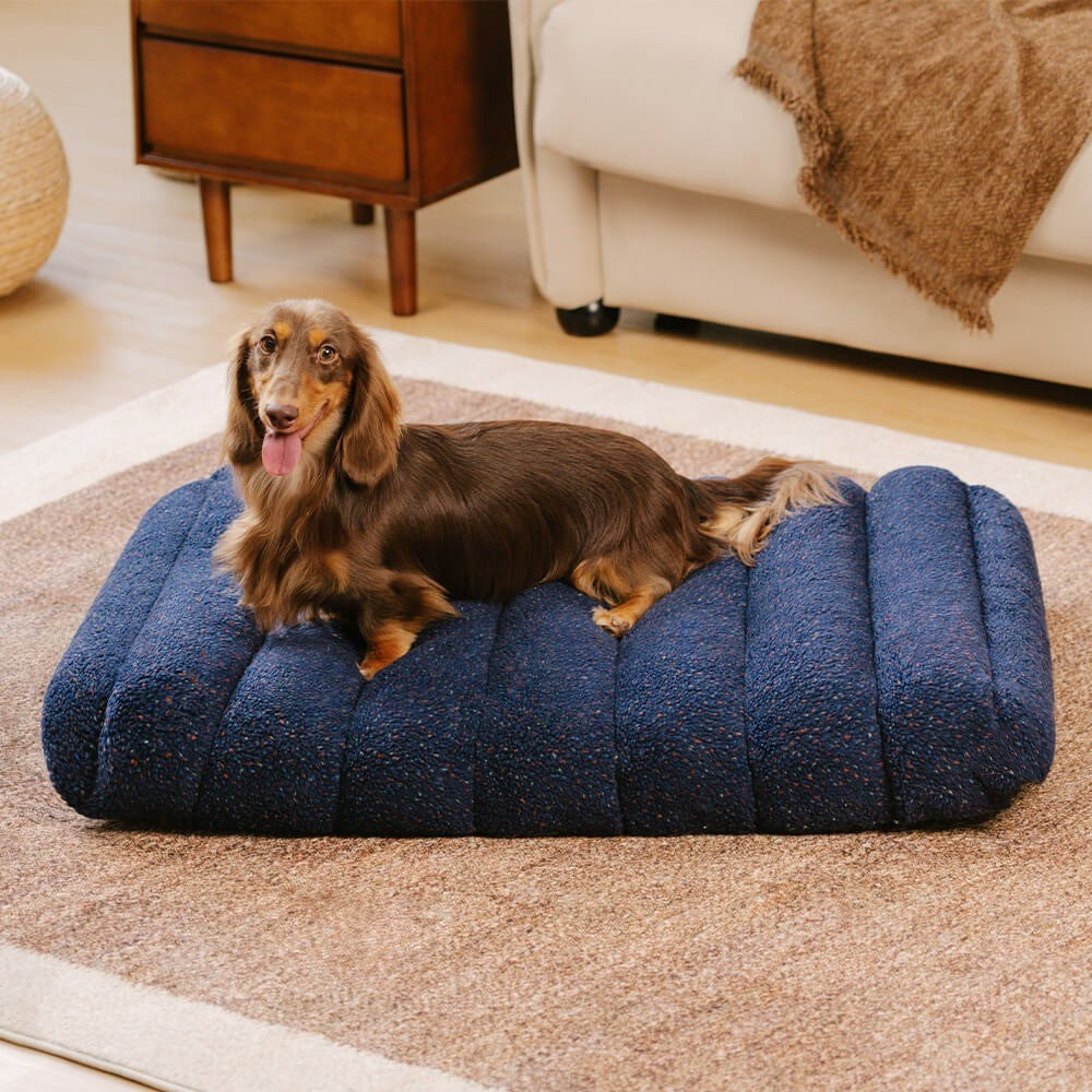 Large Washable Creamy Cosy Flat Dog Beds