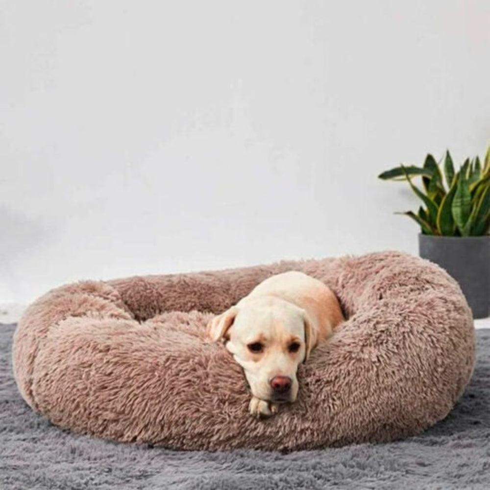 Anti-Anxiety Calming Dog Bed