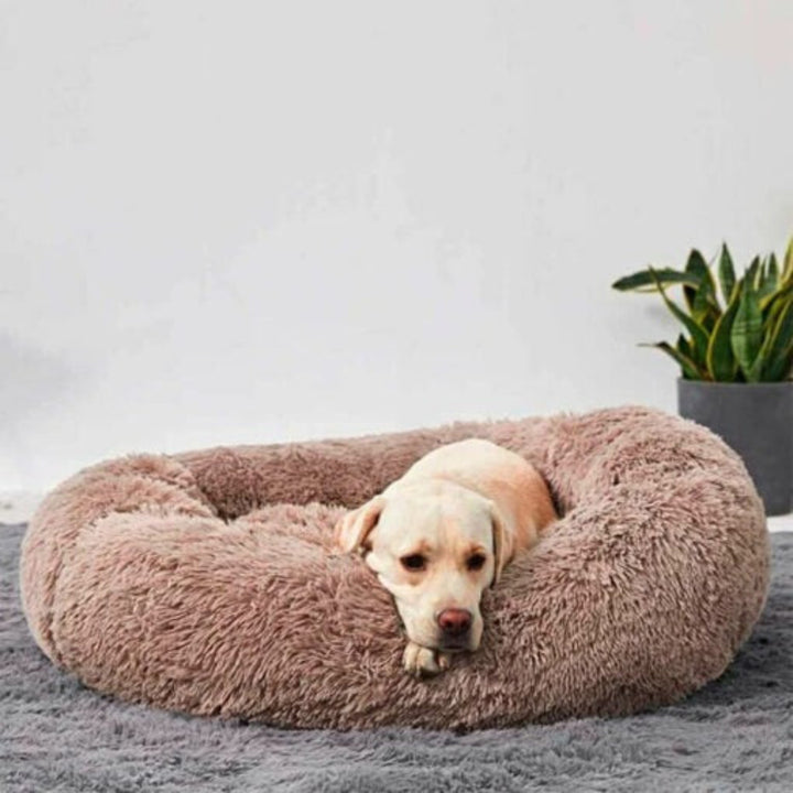 Anti-Anxiety Calming Dog Bed
