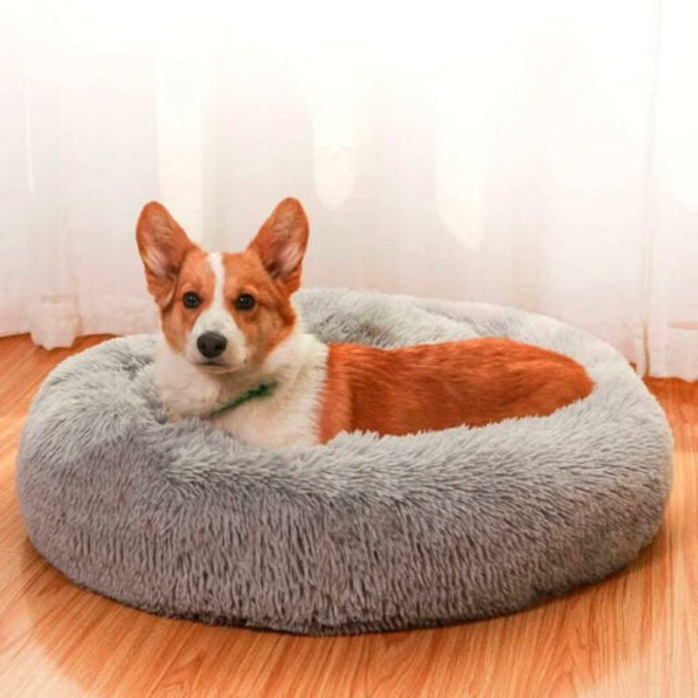 Anti-Anxiety Calming Dog Bed