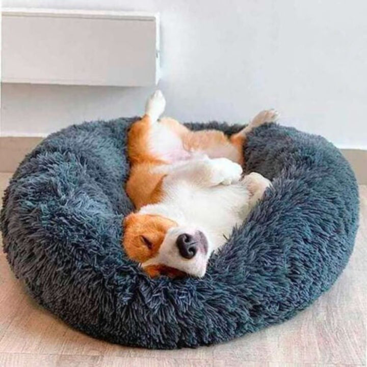 Anti-Anxiety Calming Dog Bed