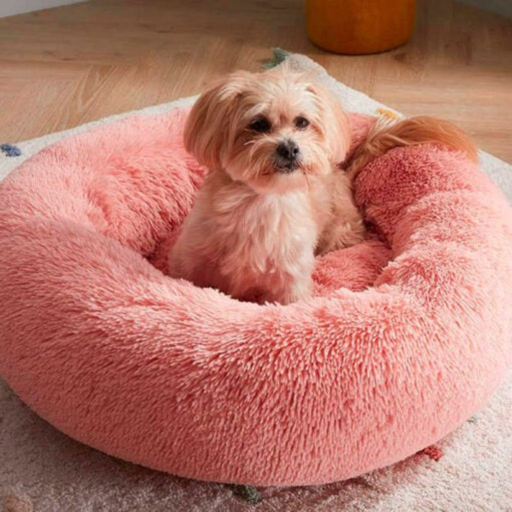 Anti-Anxiety Calming Dog Bed
