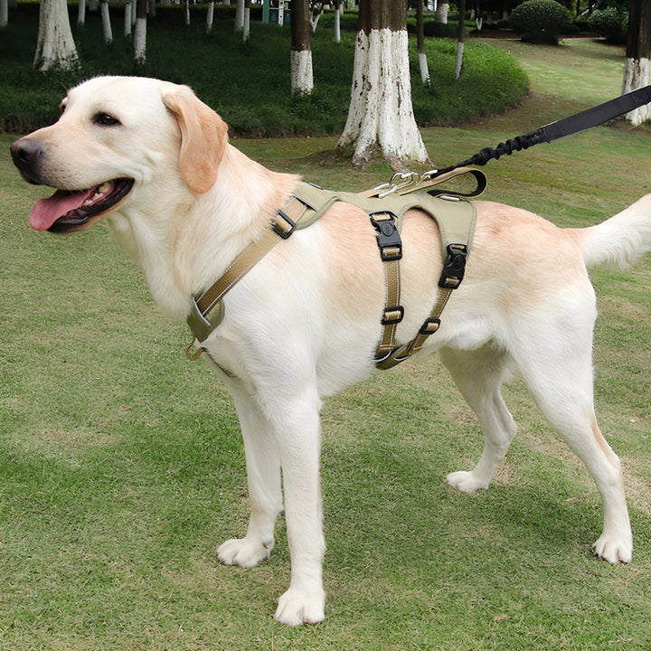 Adjustable Dog Harness