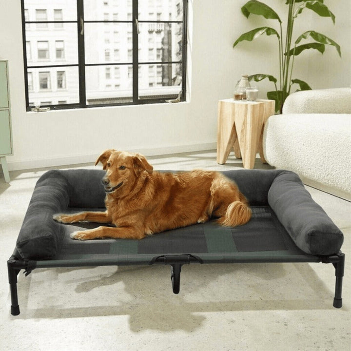 Bolster Bed for Large Dogs Spacious Raised Design