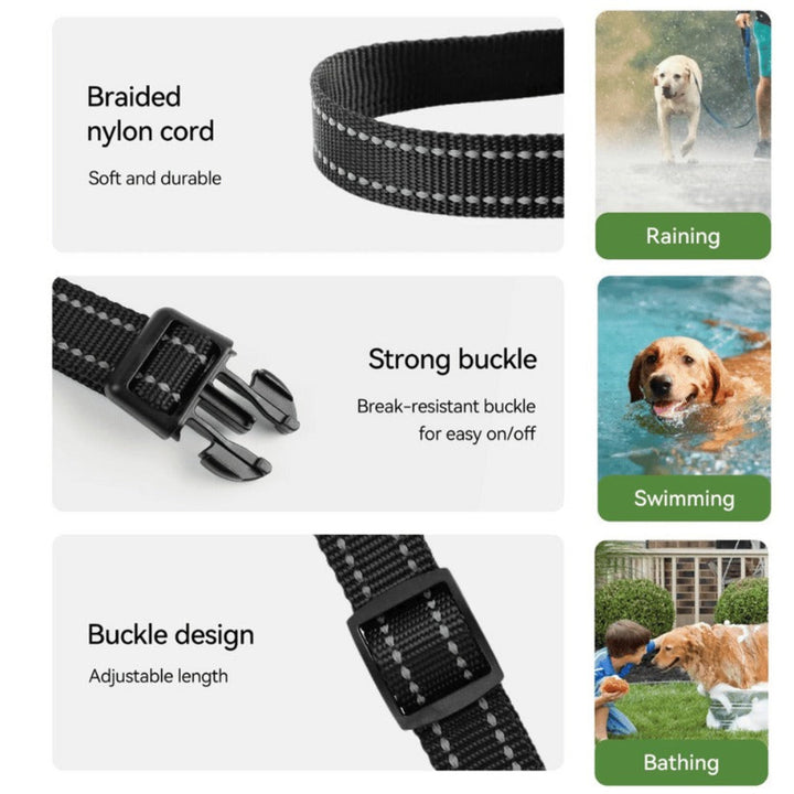 Smart Training Collar & Remote 300 m Range
