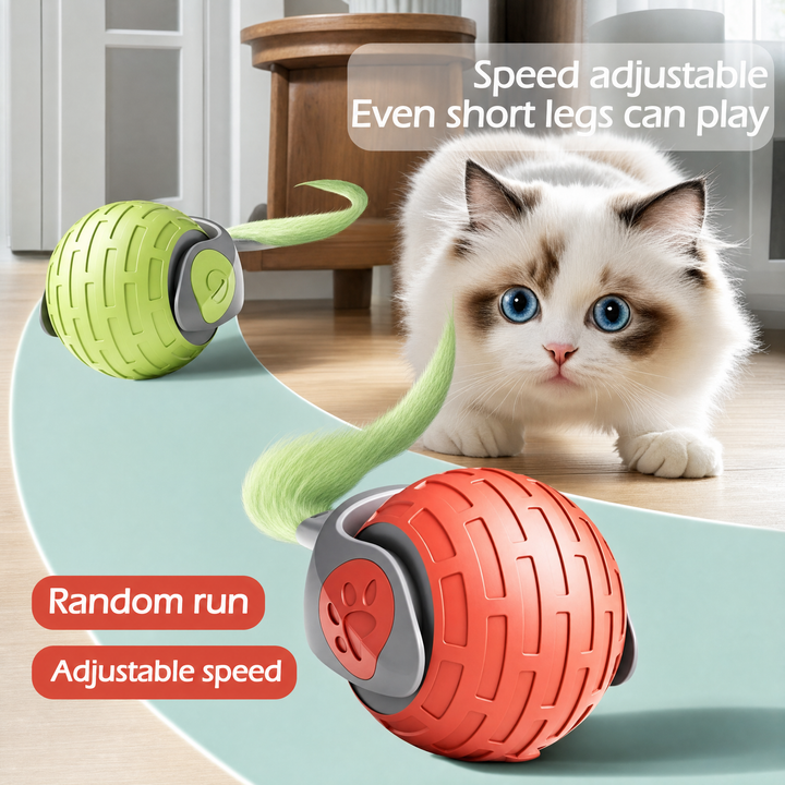 Auto Electric Rolling Cat Toy Ball