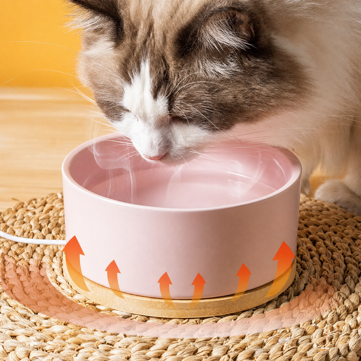 Heated Ceramic Cat Water Bowl