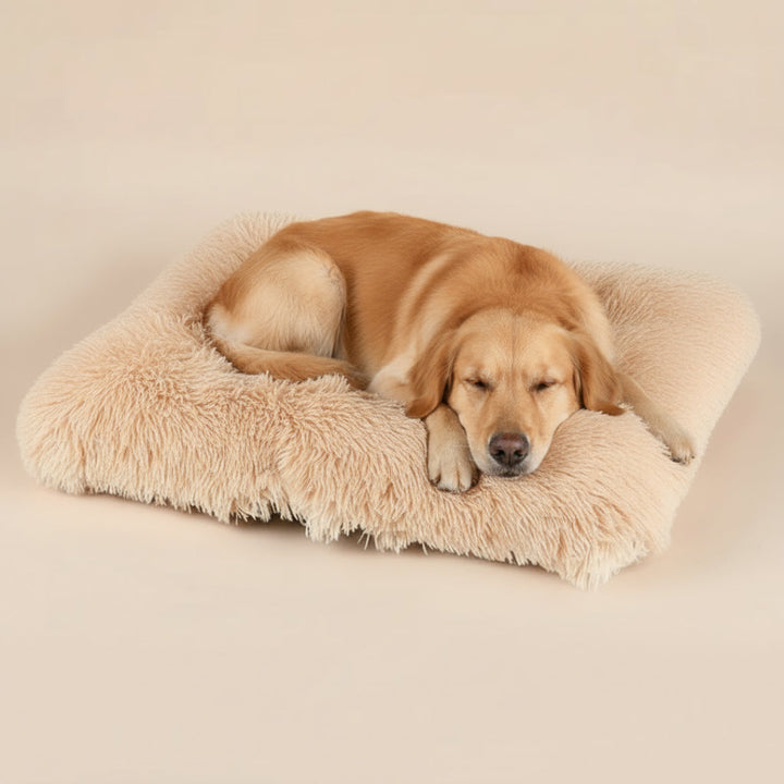 Dog Sleeping Mat – Soft Comfortable Resting Mat for Dogs